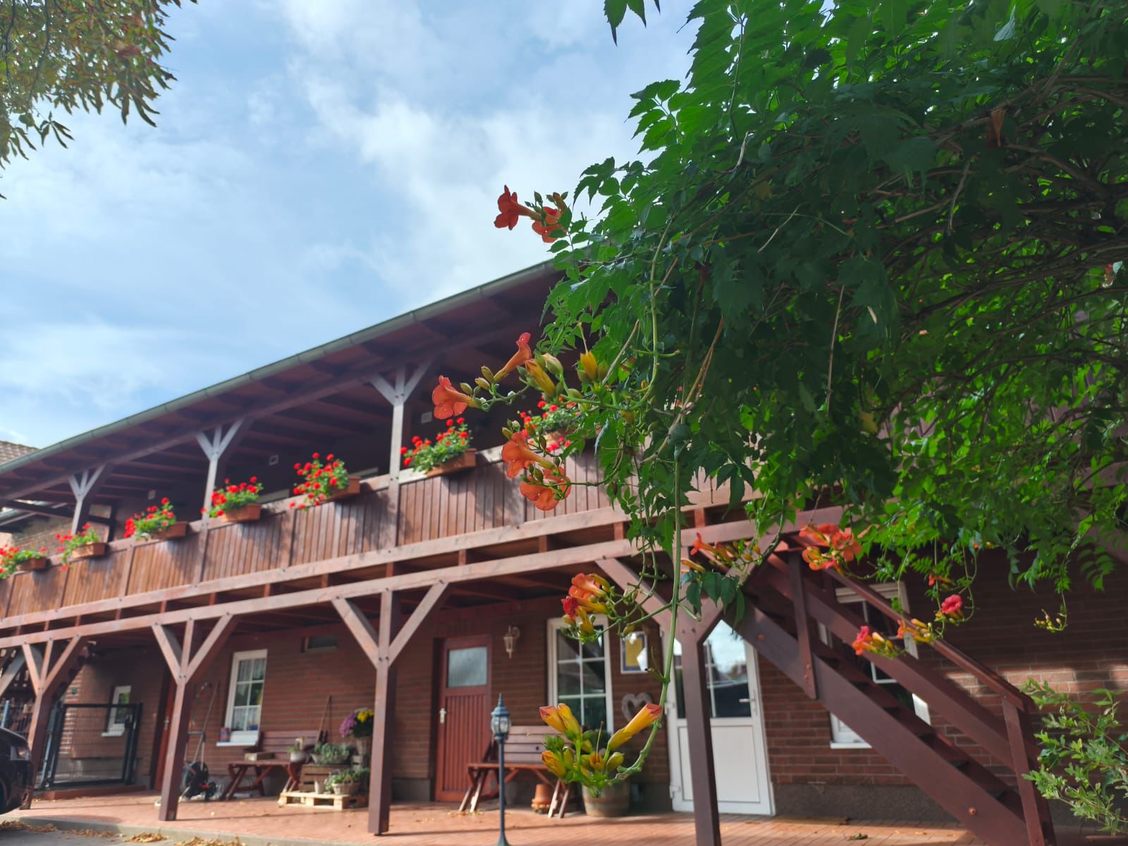 Garten der Pension Ritters Hof